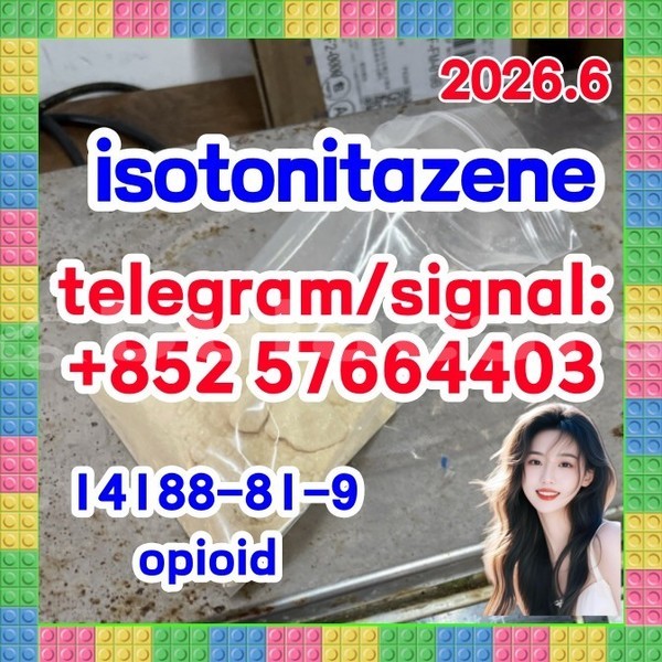 Big with watermark i1