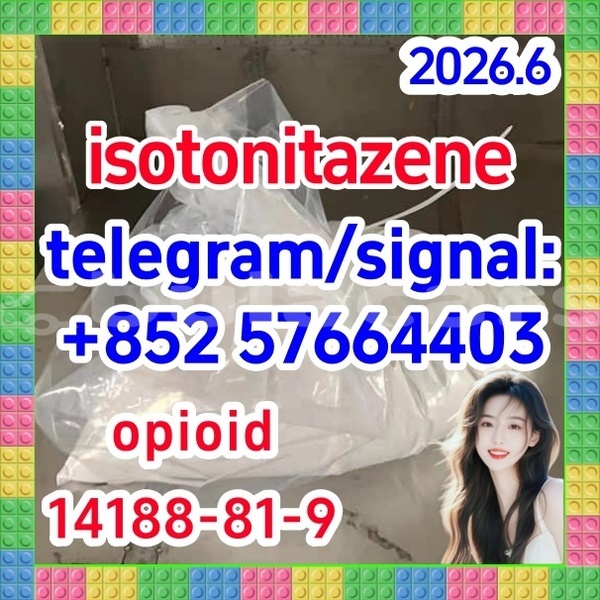 Big with watermark i2