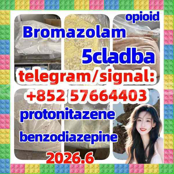 Big with watermark z1