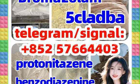 Medium with watermark z1