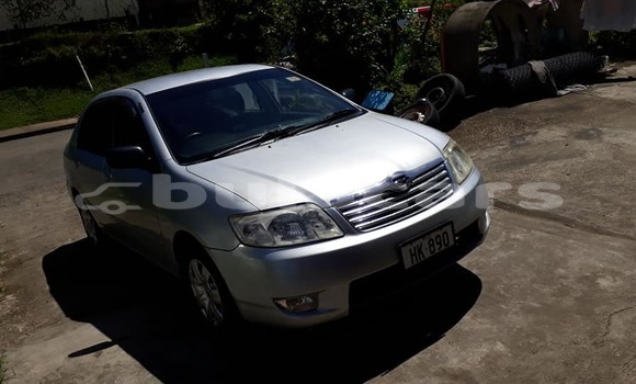 Buy Used Toyota Corolla Silver Car in Suva in Central Buy Used Toyota Corolla Silver Car in Suva in Central