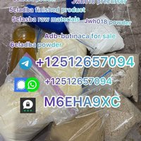 Medium 0923b59f 99aa 4f05 82a9 c1bcc5d88638 3 